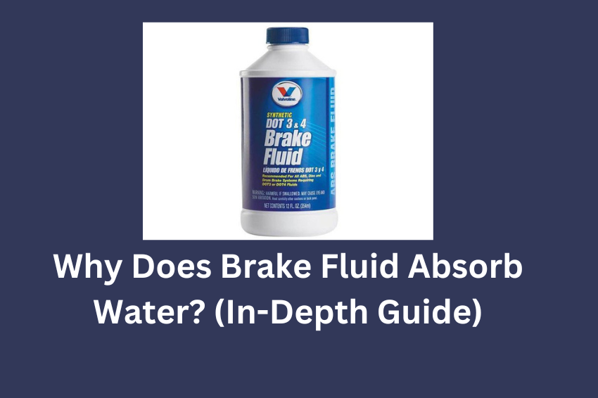 Why Does Brake Fluid Absorb Water? (In-Depth Guide)